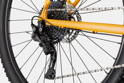Trail 5 Cannondale 2024 Mango #5