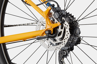 Trail 5 Cannondale 2024 Mango #6